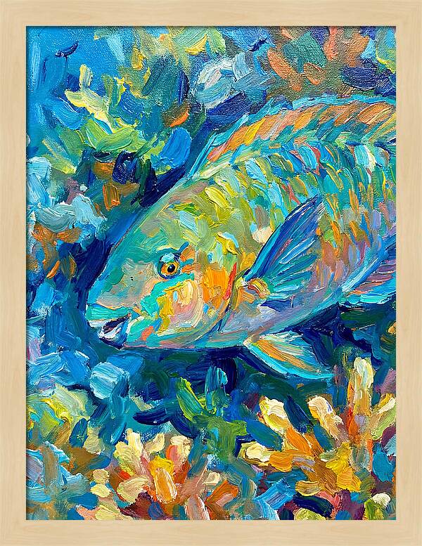 Colorful Parrotfish Swimming Below