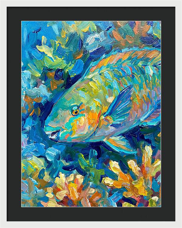 Colorful Parrotfish Swimming Below