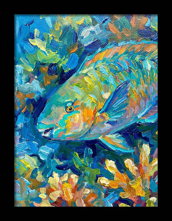 Colorful Parrotfish Swimming Below