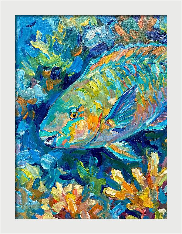Colorful Parrotfish Swimming Below