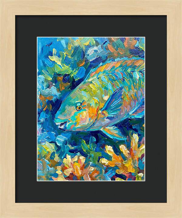 Colorful Parrotfish Swimming Below