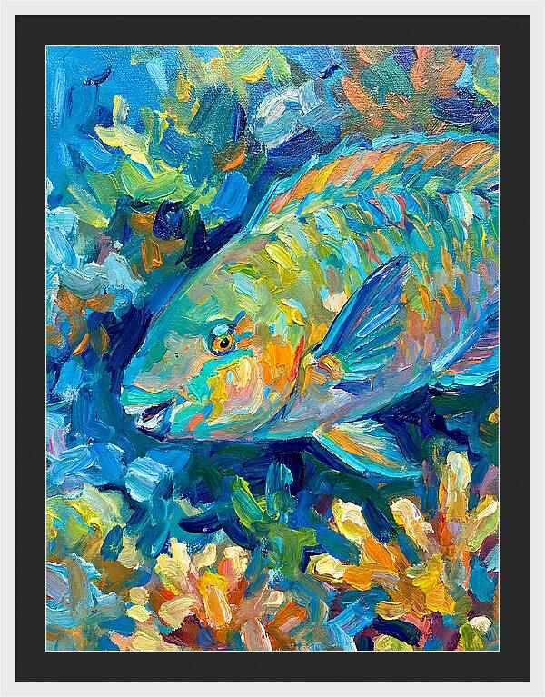 Colorful Parrotfish Swimming Below