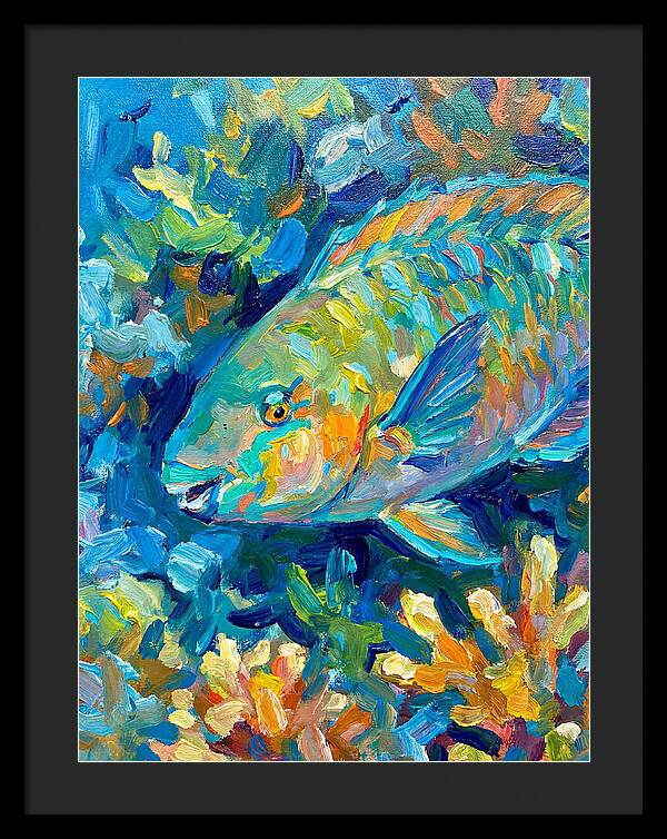 Colorful Parrotfish Swimming Below