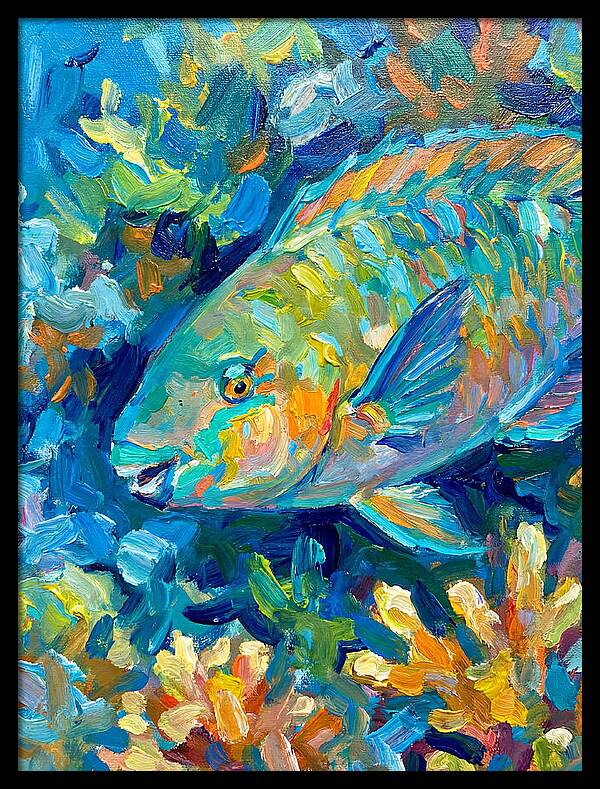 Colorful Parrotfish Swimming Below