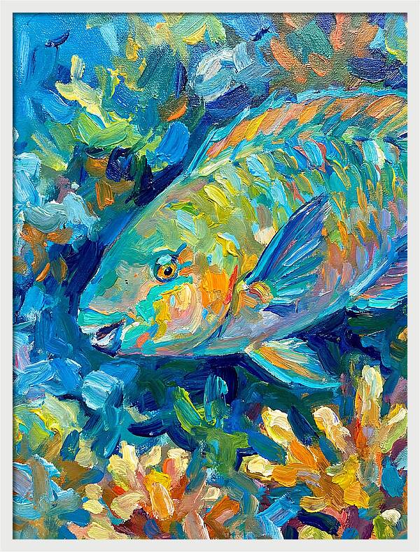 Colorful Parrotfish Swimming Below