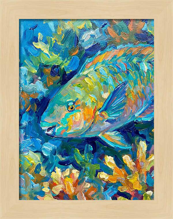 Colorful Parrotfish Swimming Below
