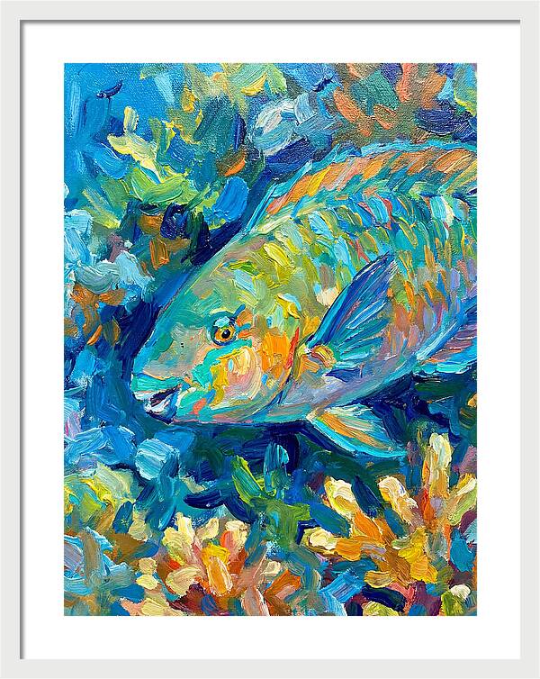 Colorful Parrotfish Swimming Below