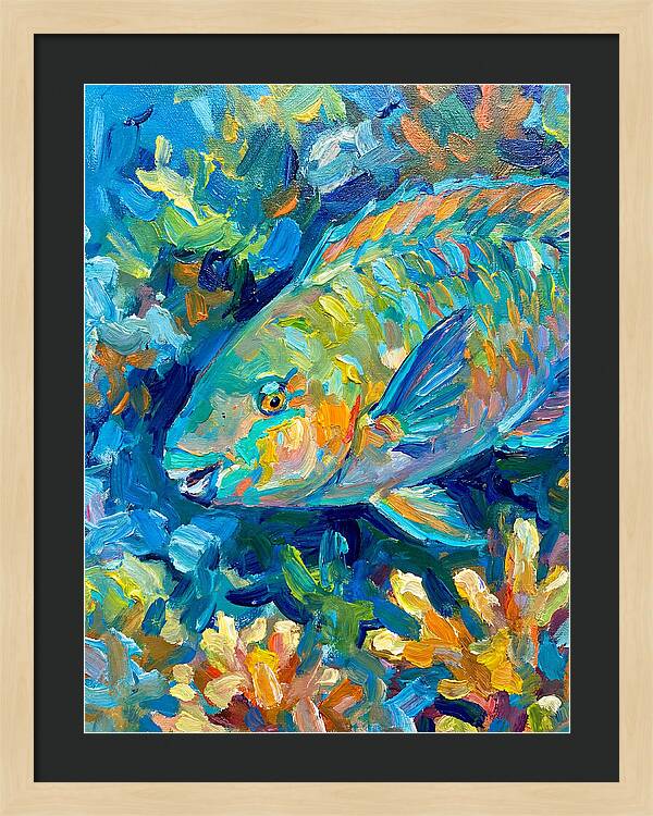 Colorful Parrotfish Swimming Below