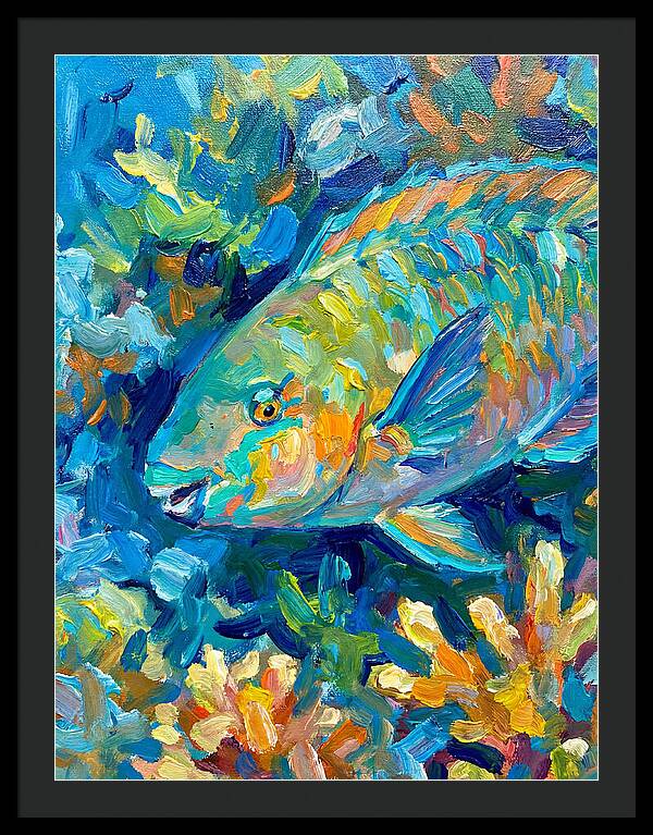 Colorful Parrotfish Swimming Below
