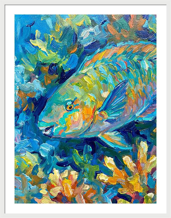 Colorful Parrotfish Swimming Below