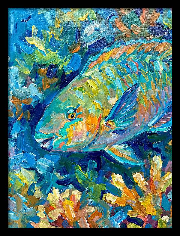 Colorful Parrotfish Swimming Below