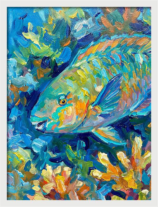 Colorful Parrotfish Swimming Below