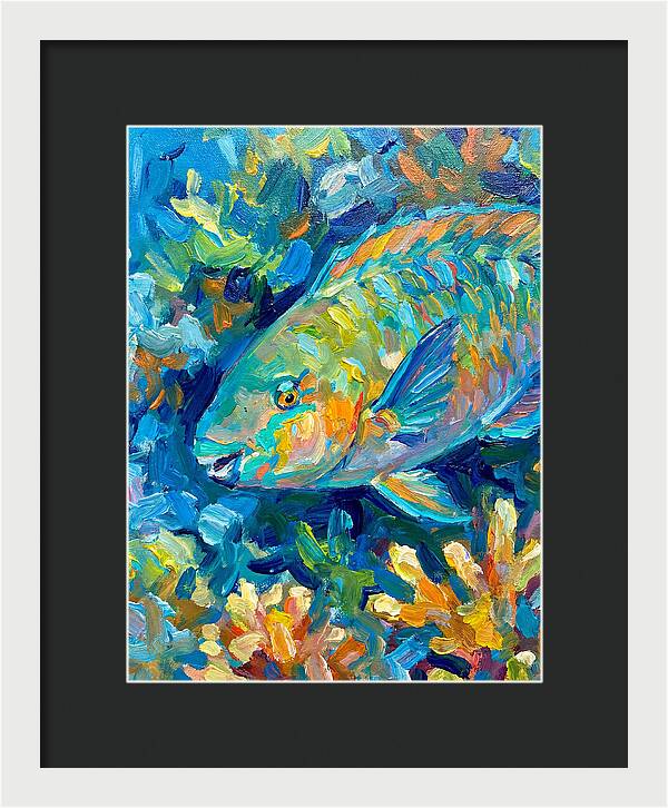 Colorful Parrotfish Swimming Below