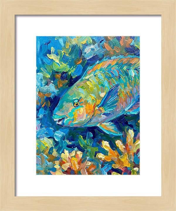 Colorful Parrotfish Swimming Below
