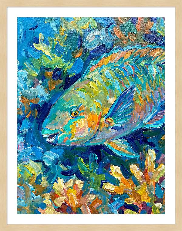 Colorful Parrotfish Swimming Below