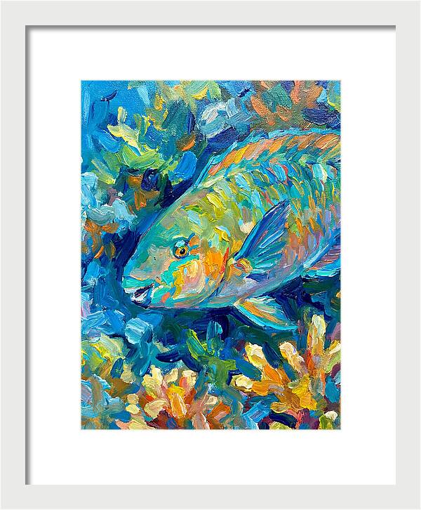 Colorful Parrotfish Swimming Below