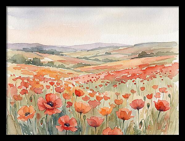 Colorful Poppy Field