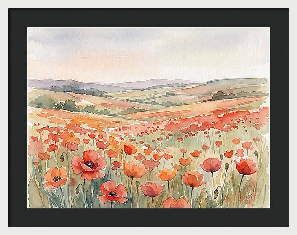 Colorful Poppy Field