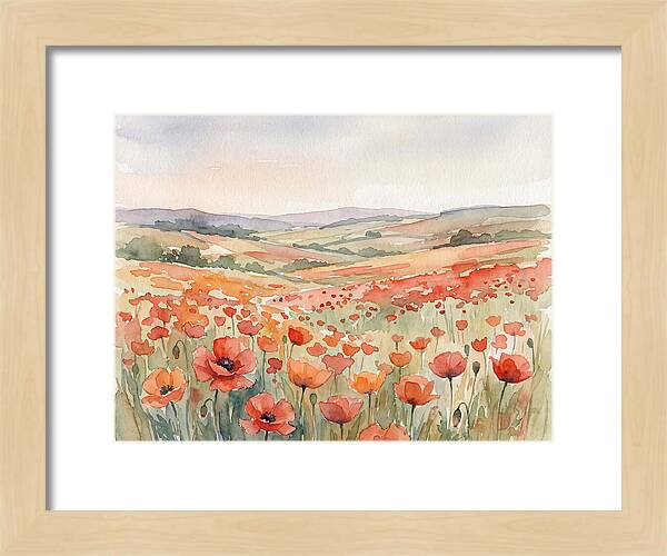 Colorful Poppy Field