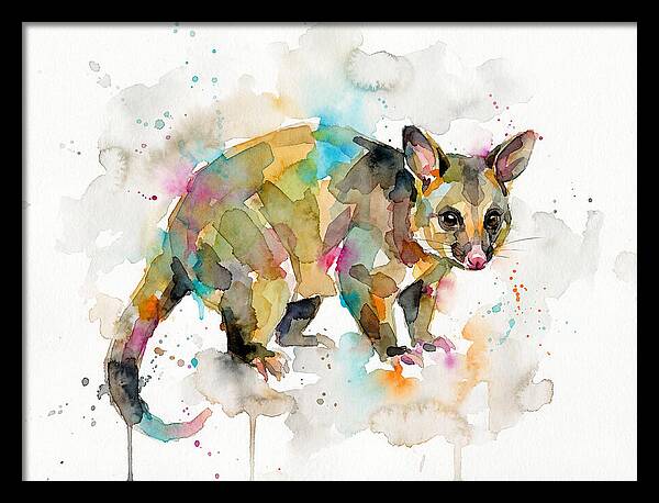 Colorful Possum Watercolor