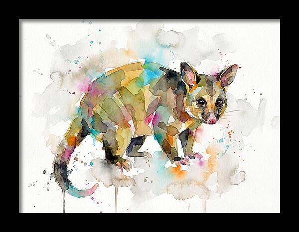 Colorful Possum Watercolor