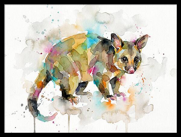 Colorful Possum Watercolor