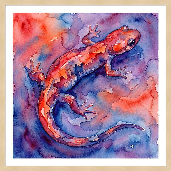 Colorful Salamander Watercolor