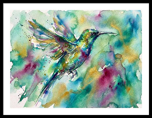 Colorful Sunbird In Flight