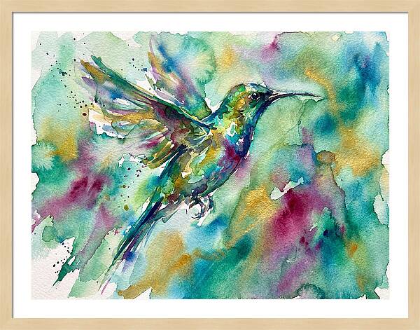 Colorful Sunbird In Flight