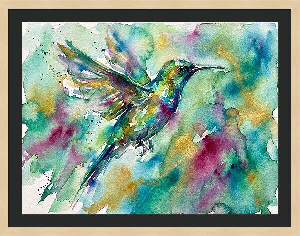 Colorful Sunbird In Flight