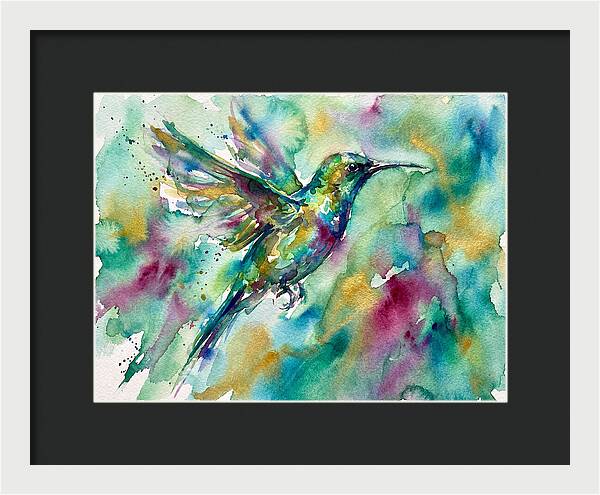 Colorful Sunbird In Flight