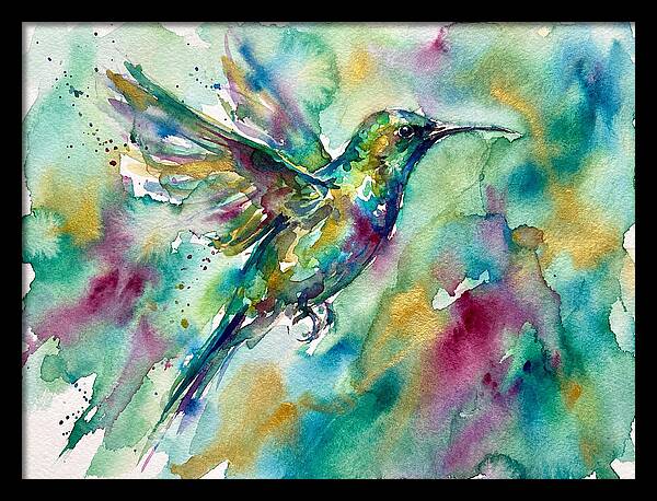 Colorful Sunbird In Flight