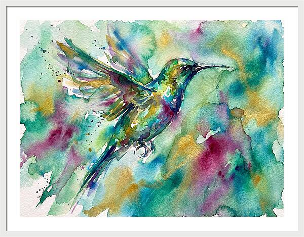 Colorful Sunbird In Flight