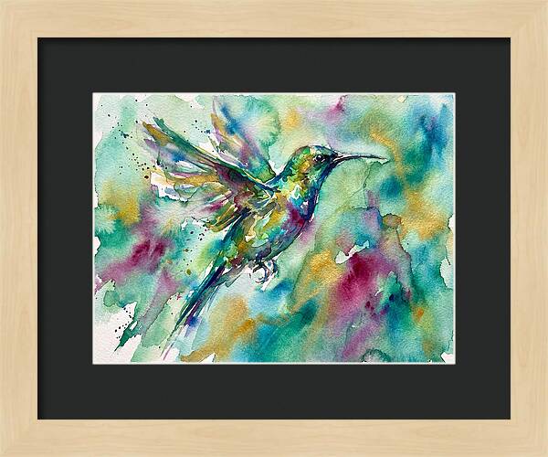 Colorful Sunbird In Flight