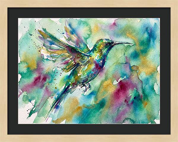 Colorful Sunbird In Flight
