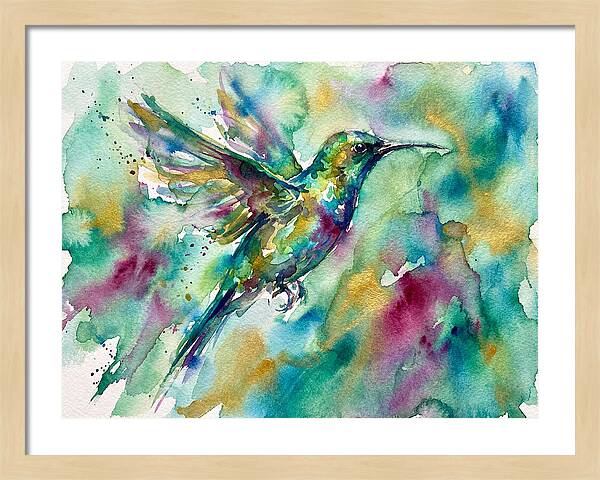 Colorful Sunbird In Flight
