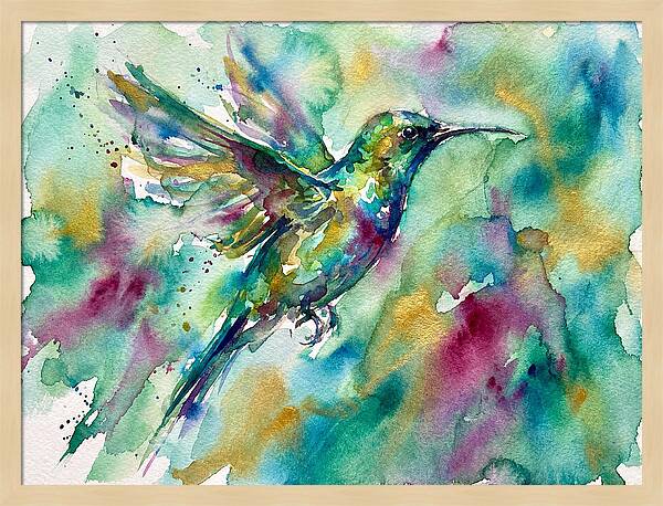 Colorful Sunbird In Flight