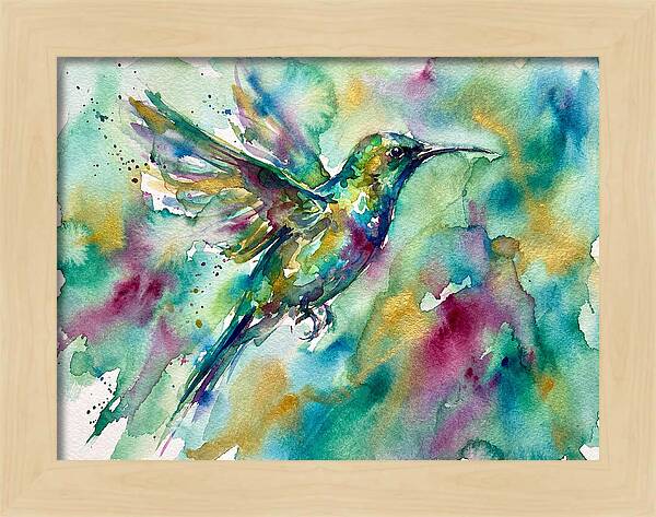 Colorful Sunbird In Flight
