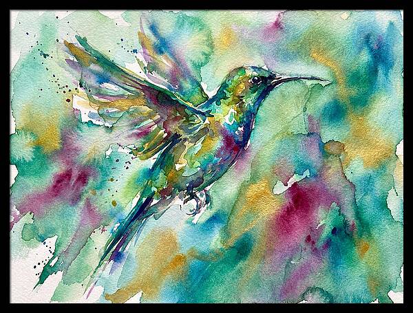 Colorful Sunbird In Flight