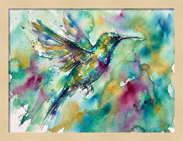 Colorful Sunbird In Flight
