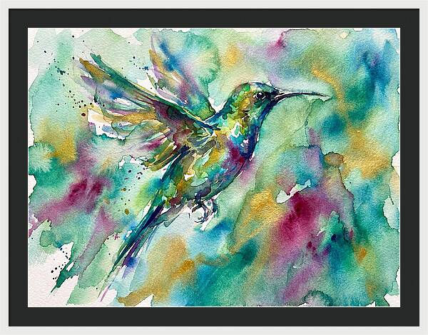 Colorful Sunbird In Flight