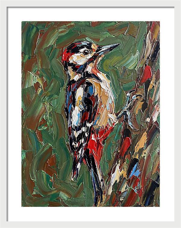 Colorful Woodpecker Perched