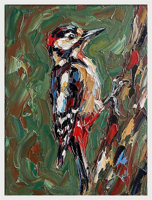 Colorful Woodpecker Perched