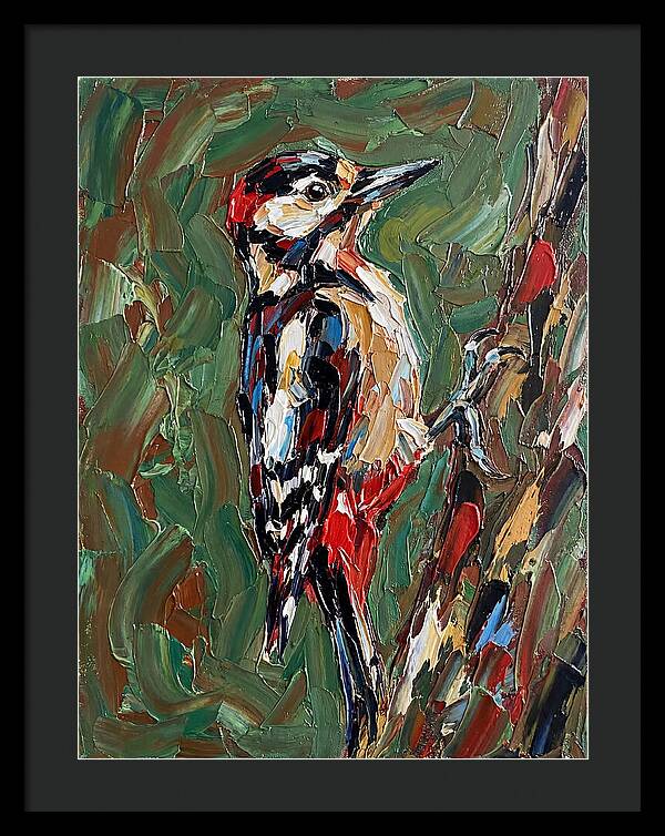 Colorful Woodpecker Perched