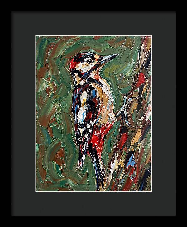 Colorful Woodpecker Perched