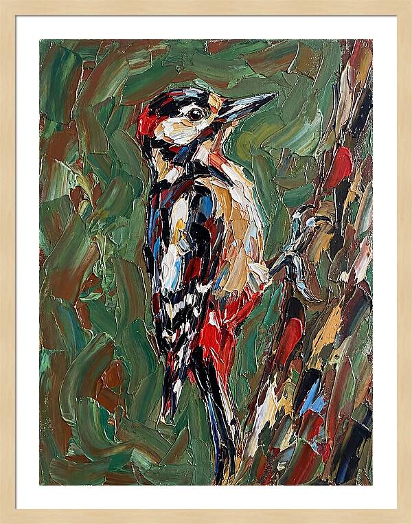 Colorful Woodpecker Perched