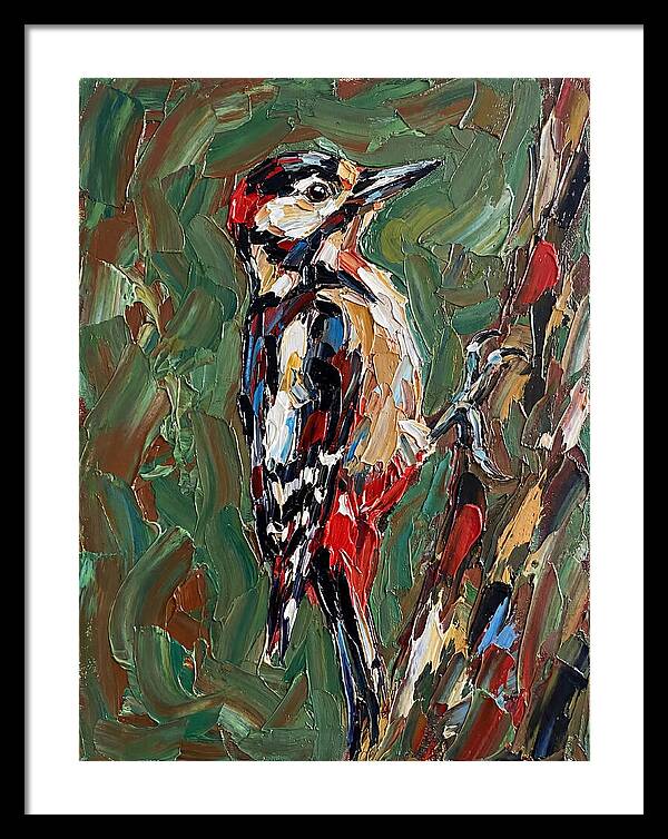 Colorful Woodpecker Perched