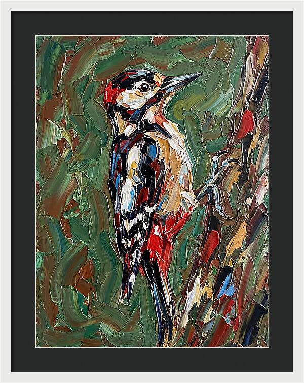 Colorful Woodpecker Perched