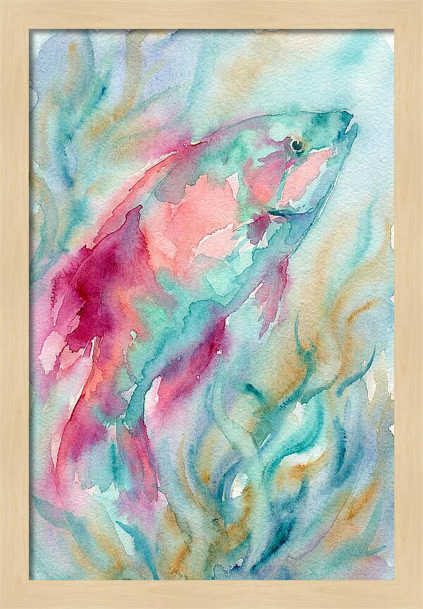 Colorful Wrasse Underwater