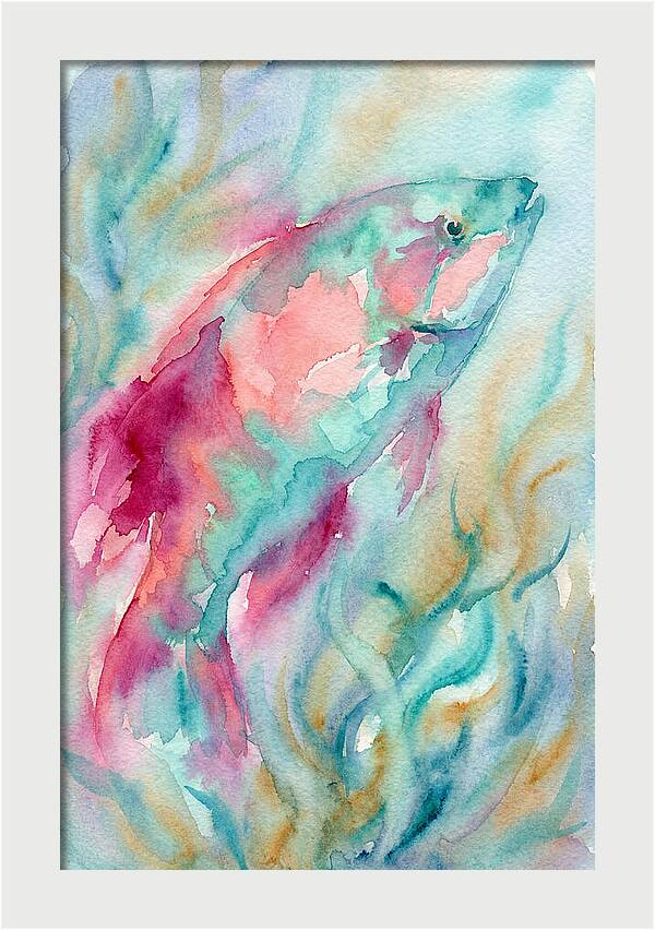 Colorful Wrasse Underwater